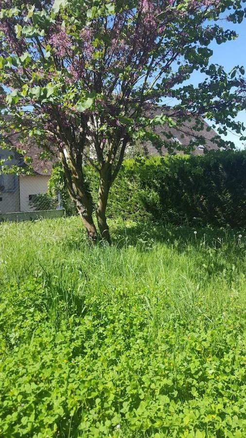 Villa Maison De Campagne A 1H20 De Paris Saint-Hilaire-les-Andresis Exterior foto
